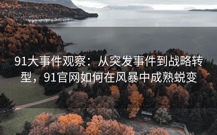 91大事件观察：从突发事件到战略转型，91官网如何在风暴中成熟蜕变