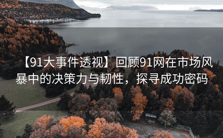 【91大事件透视】回顾91网在市场风暴中的决策力与韧性，探寻成功密码