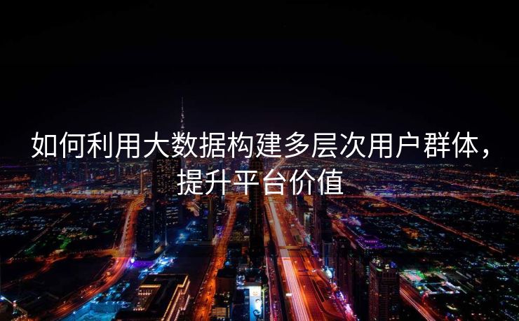 如何利用大数据构建多层次用户群体，提升平台价值