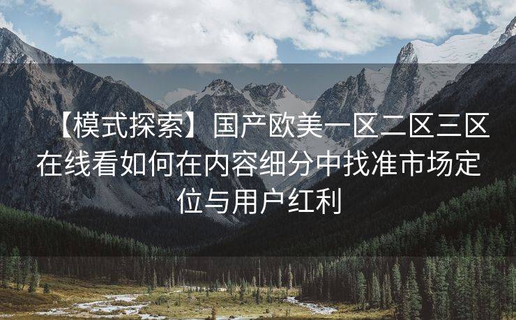 【模式探索】国产欧美一区二区三区在线看如何在内容细分中找准市场定位与用户红利